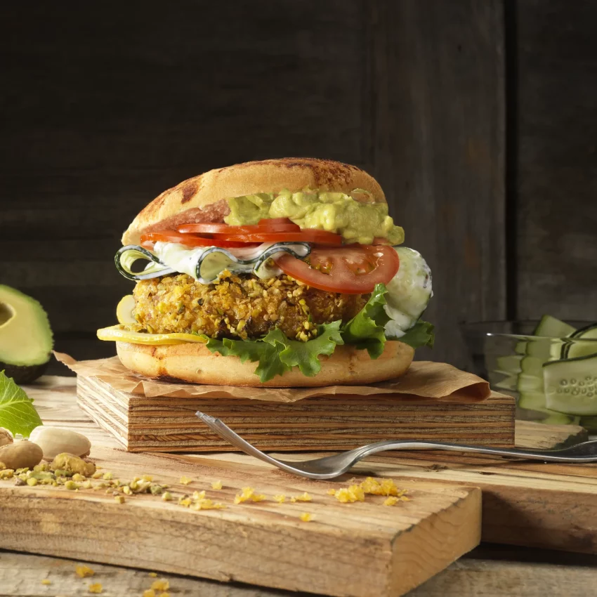 burger salmone orizzontali _10519